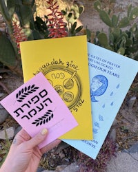 a person holds up three hebrew books in front of a cactus